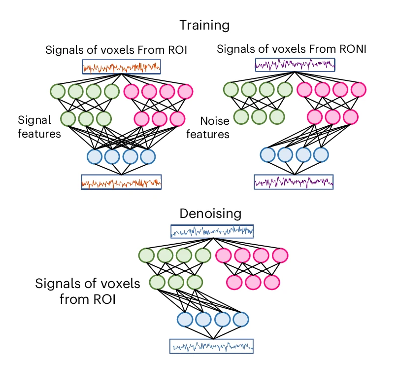 DeepCor Feature Figure